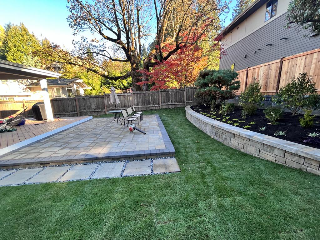 Front Yard or Back Yard Cleanup