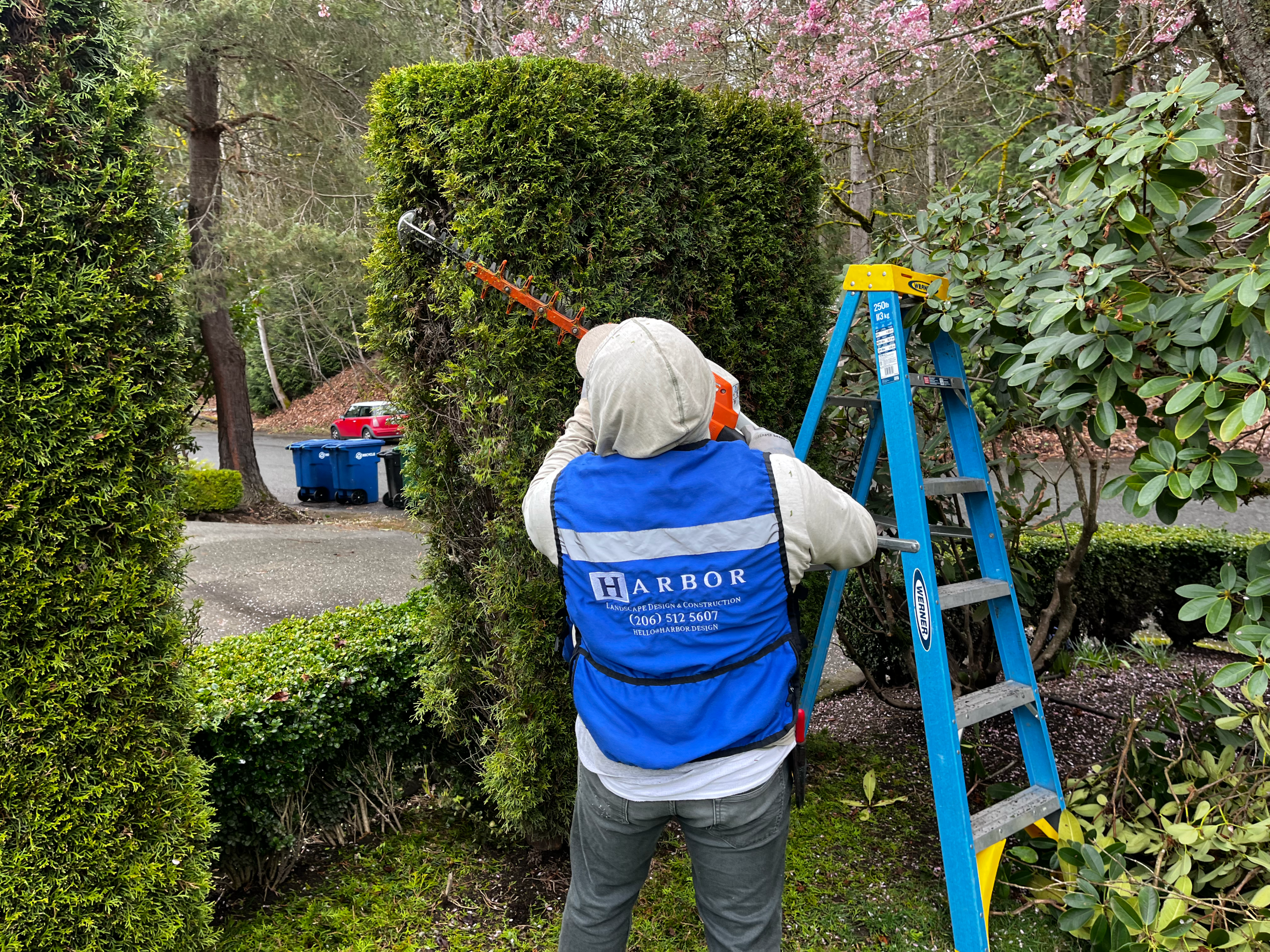 Medium Cleanup Package